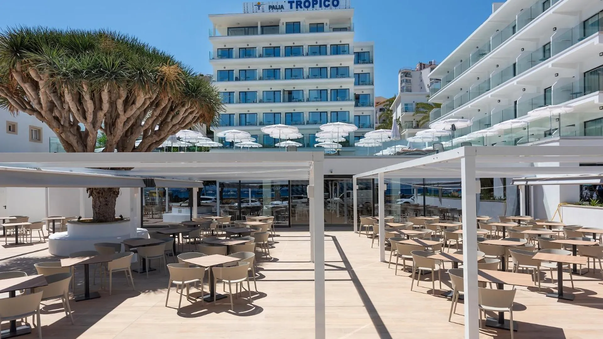 Hotel Palia Tropico Playa Palmanova 4*,