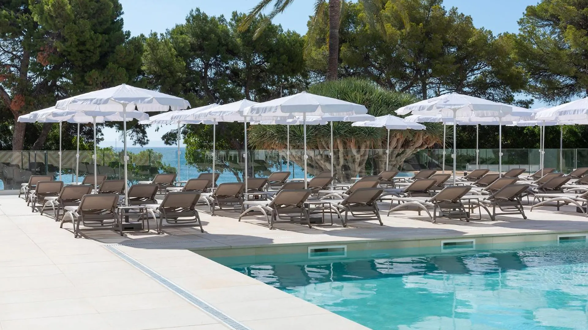 Hotel Tropico Playa Palmanova 4*,  España