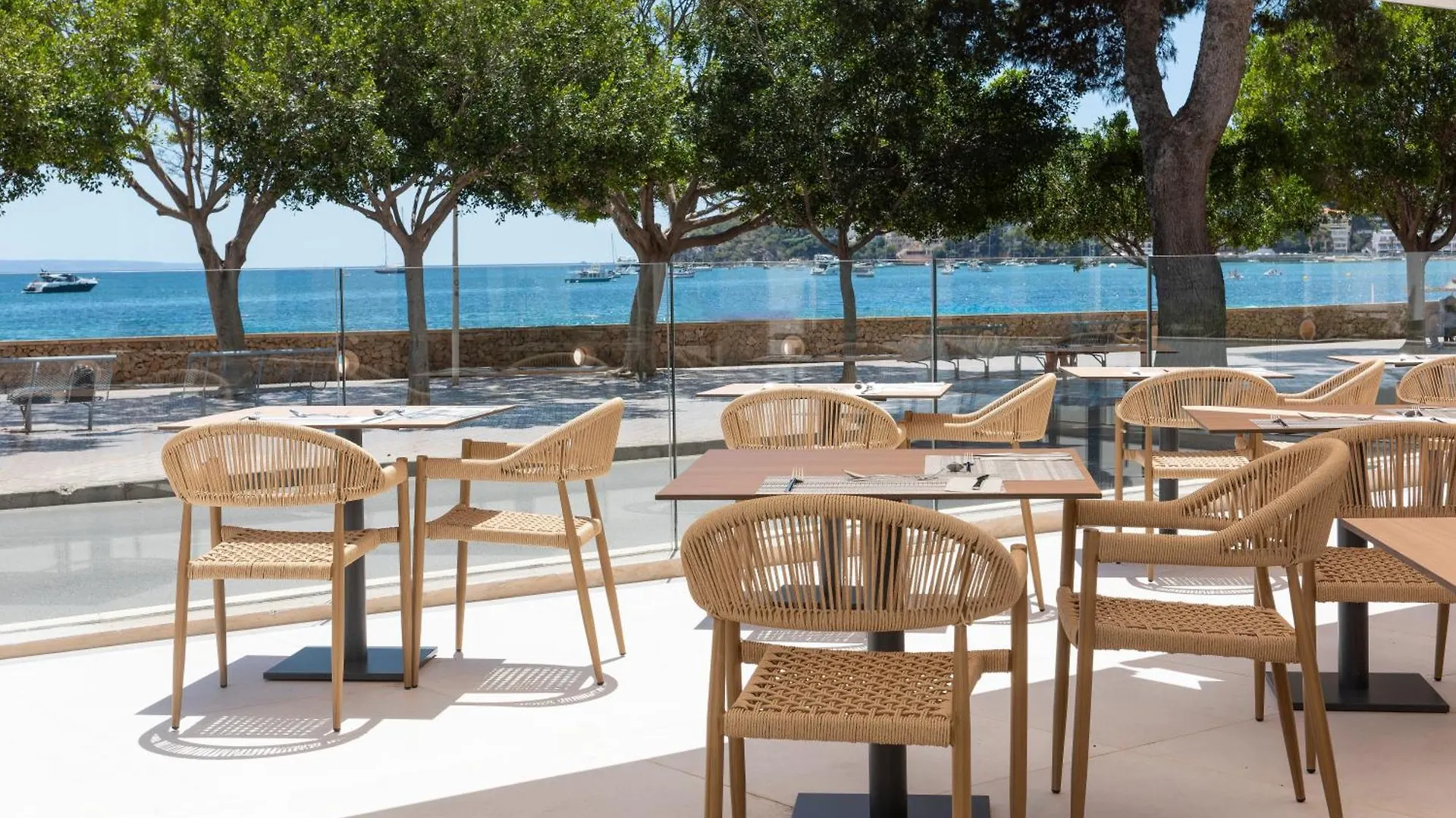 Hotel Tropico Playa Palmanova