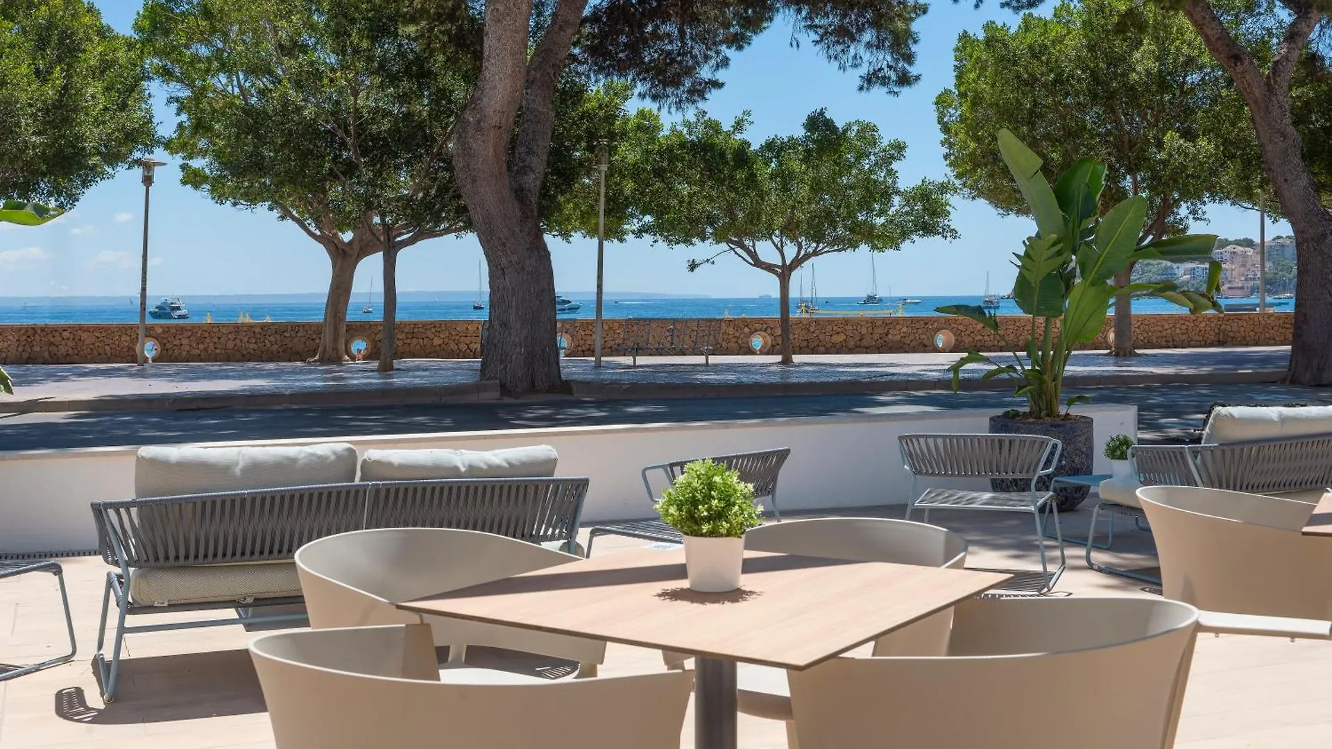 Hotel Palia Tropico Playa Palma Nova  Spain